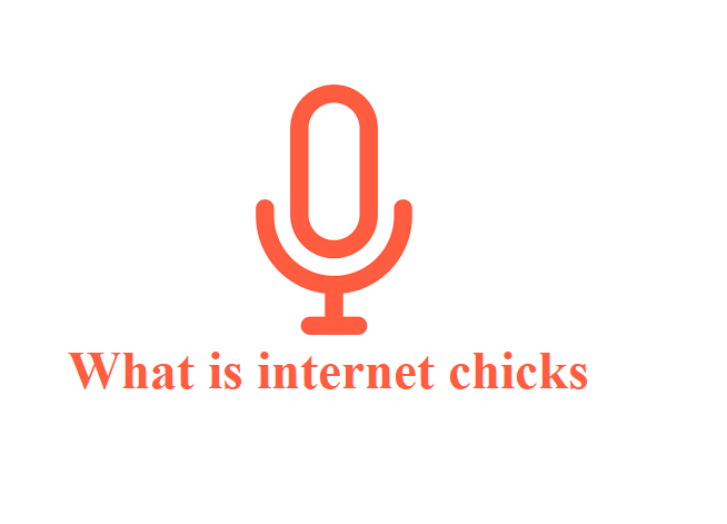 Internet Chicks