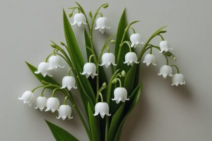 Lily of the Valley Tattoo
